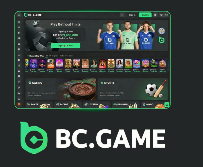 Ultimate BC.Game Mexico Bonus Guide Maximize Your Rewards Ultimate BC.Game Mexico Bonus Guide Maximize Your Rewards
